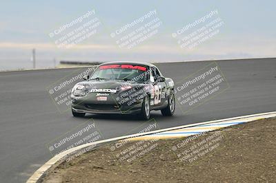 media/Jan-26-2025-CalClub SCCA (Sun) [[cfcea7df88]]/Group 1/Race/